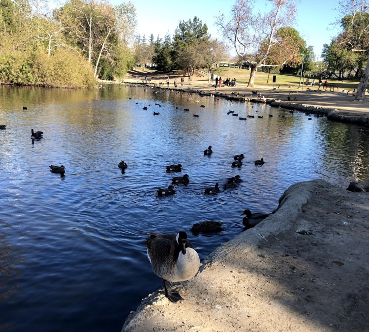 Rancho Simi Park Lake (Simi&nbspValley,&nbspCA)